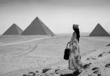 صورة شركة اللواء للسياحة - رقم 6908