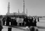 صورة فينوس للسياحة - رقم 6978