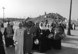 صورة شركة النهى ايجيبت للسياحة  - رقم 7050
