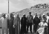 صورة مصر المعمورة للسياحة  - رقم 7087
