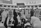 صورة مصر المعمورة للسياحة  - رقم 7090