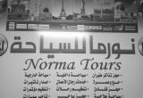 صورة نورما للسياحة بالدقي  - رقم 7183