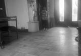 صورة استرا ترافيل - رقم 7198