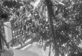 صورة استرا ترافيل - رقم 7204