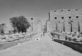 صورة الجزيرة العربية للسياحة - رقم 7219