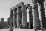 صورة بلانيت تورز مصر - رقم 7226