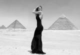صورة ايمو تورز مصر - رقم 7248
