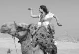 صورة ايمو تورز مصر - رقم 7249