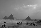 صورة كليوباترا مصر تورز  - رقم 7258