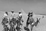 صورة كليوباترا مصر تورز  - رقم 7257