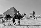 صورة صن بيراميدز تورز  - رقم 7279