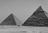 صورة صن بيراميدز تورز  - رقم 7273