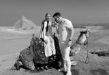 صورة امون رع تورز - رقم 7283