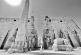 صورة جاكادا تورز مصر - رقم 7309