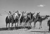 صورة جاكادا تورز مصر - رقم 7303