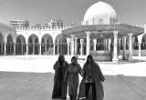 صورة ستار شاين تورز - رقم 7341