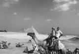 صورة ديولكس ترافيل مصر - رقم 7349