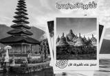 صورة الصقور الأولى للسفر والسياحة  - رقم 7629