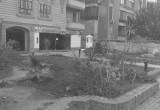 صورة اتورى تورز  - رقم 7683