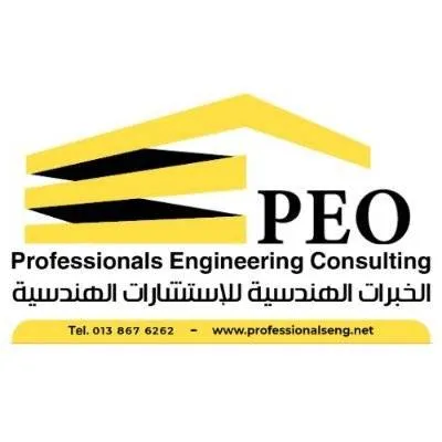 PROFESSIONALS ENGINEERING Logo