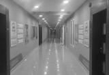 صورة  شركة القطر - رقم 8992