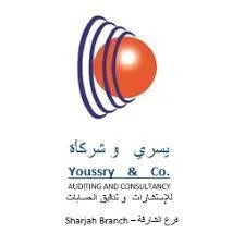 Youssry & Co. Auditing & Consultancy Logo