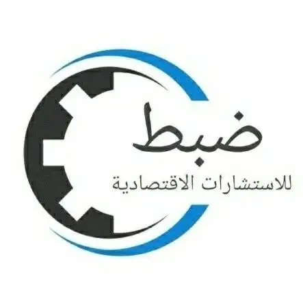 DHUBIT for financial consulting Logo