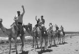 صورة شرم كلوب - رقم 9841