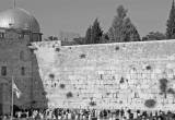 صورة شرم كلوب - رقم 9846