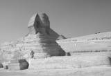 صورة جو شرم تورز - رقم 9850