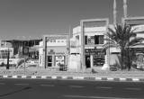 صورة جو شرم تورز - رقم 9853