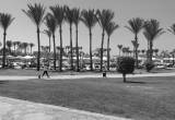 صورة أوتيليانا ترافل  - رقم 9928