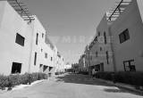 صورة ميراج الدولية للاستشارات العقارية - رقم 9958