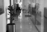 صورة شركة الإمارات للاستثمار العقاري  - رقم 10152