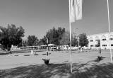 صورة مدرسة ويس جرين الدولية - رقم 10747