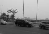 صورة شركة منازل ش.م.خ - رقم 10896