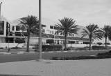 Photo Nord Anglia International School Abu Dhabi  - Number 10951