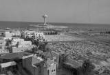 صورة جنى للخدمات البحرية - رقم 11891