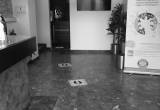 صورة شركة سراكو - رقم 12271