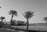 Photo Brighton College Al Ain  - Number 12708