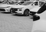صورة عبدالرحمن عماد الدين للسيارات - رقم 13004