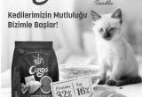 صورة شركة وسام الخليج للتجارة - رقم 13787
