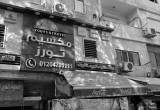 صورة مكسيم تورز - رقم 14035