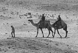 صورة جلاكسيا تورز - رقم 14044