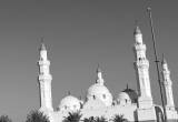 صورة سادن ترافيل - رقم 14054
