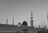 صورة سادن ترافيل - رقم 14053