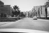 صورة صندوق الاستثمارات العامة - رقم 14341
