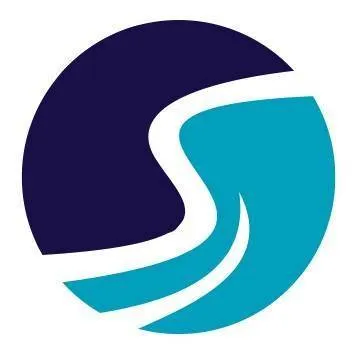 Saif Chartered Accountants Logo