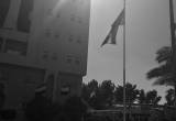 صورة شركة الحمرا للإنشاءات ذ.م.م. - رقم 14508