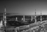 صورة فندق اوبروي المدينة - رقم 14809